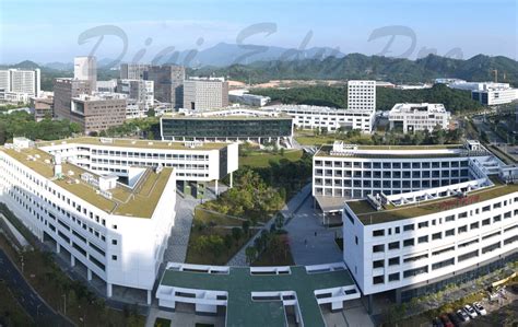 深圳哪些大學好玩？論述深圳大學校園的獨特魅力